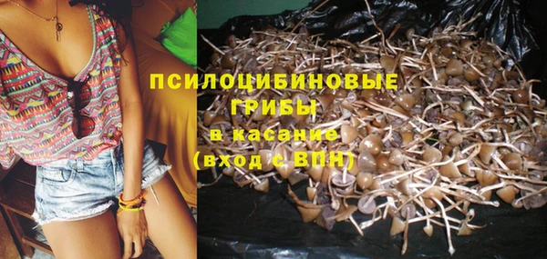дживик Каменск-Шахтинский