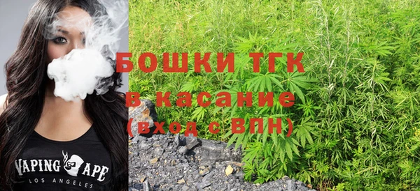 гидра Инсар