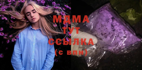 гидра Инсар