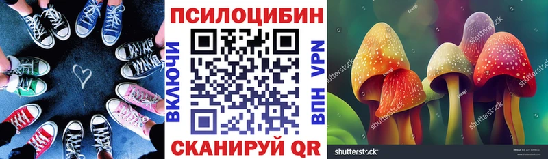 Галлюциногенные грибы ЛСД  Купить  Мамадыш 